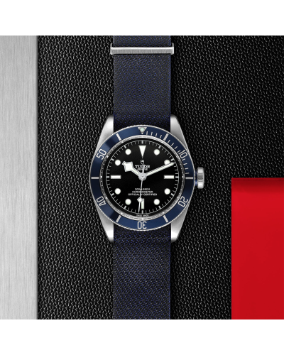 Tudor Black Bay 41 mm steel case, Blue fabric strap (watches)